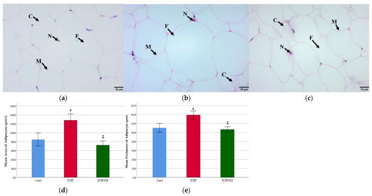https://cdn.ncbi.nlm.nih.gov/pmc/blobs/6a03/10056699/67e18b34081b/molecules-28-02790-g008.jpg