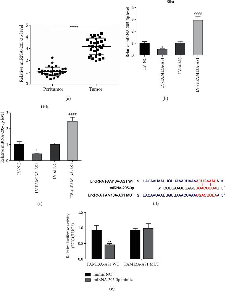 https://cdn.ncbi.nlm.nih.gov/pmc/blobs/6a10/9246599/470e6aba3f17/JO2022-8411919.004.jpg