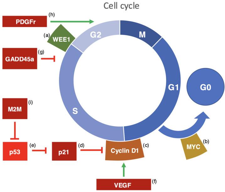 https://cdn.ncbi.nlm.nih.gov/pmc/blobs/6a32/11819666/f22907646b99/nutrients-17-00529-g001.jpg