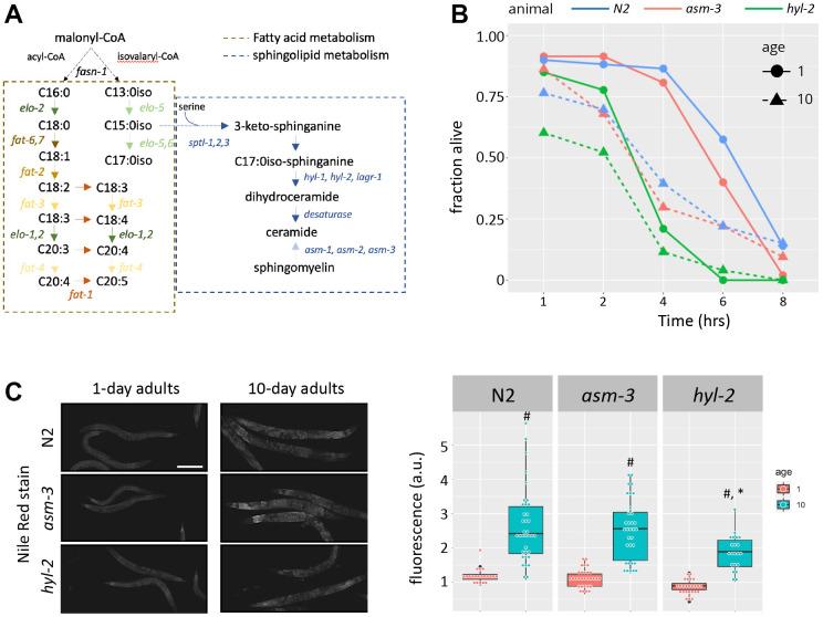 https://cdn.ncbi.nlm.nih.gov/pmc/blobs/6a40/9970312/8b49c021f613/aging-15-204515-g001.jpg