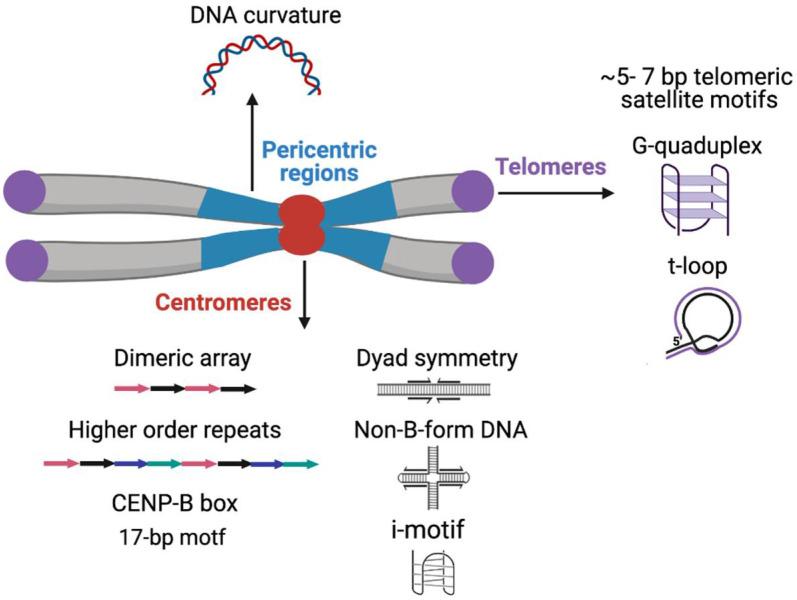 https://cdn.ncbi.nlm.nih.gov/pmc/blobs/6a46/8122249/e427a90b3d04/ijms-22-04309-g001.jpg