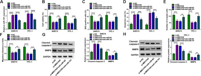 https://cdn.ncbi.nlm.nih.gov/pmc/blobs/6a4f/9022350/416e1e8ae96e/12902_2022_962_Fig4_HTML.jpg