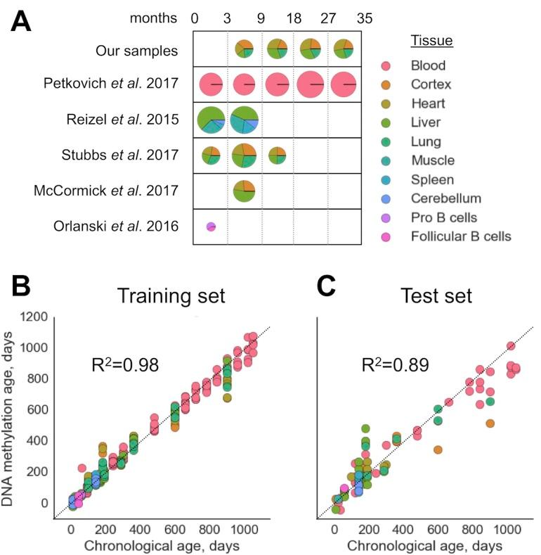 https://cdn.ncbi.nlm.nih.gov/pmc/blobs/6a69/6287945/5bbf116fd66d/elife-40675-fig1.jpg