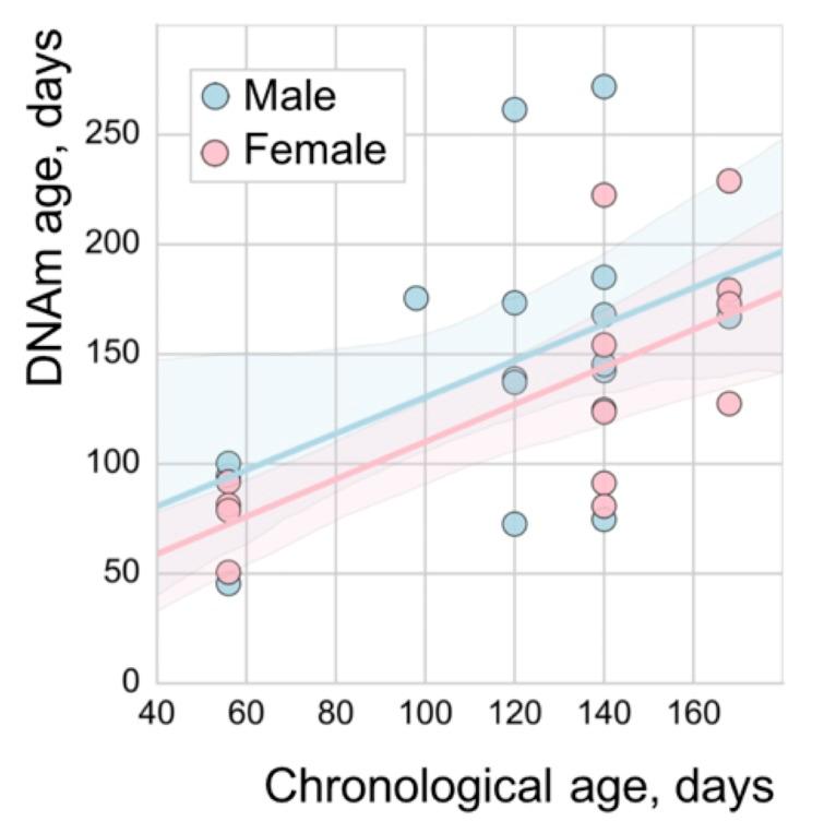https://cdn.ncbi.nlm.nih.gov/pmc/blobs/6a69/6287945/6aaf8e603323/elife-40675-fig1-figsupp3.jpg