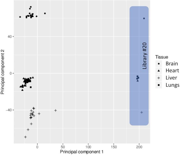 https://cdn.ncbi.nlm.nih.gov/pmc/blobs/6a69/6287945/7509fd015fa4/elife-40675-fig1-figsupp2.jpg