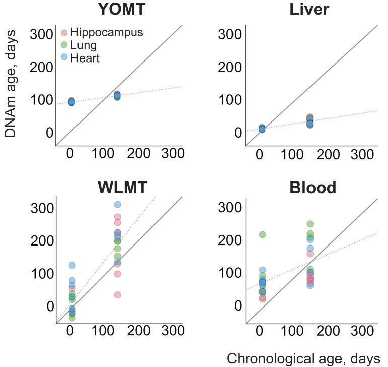 https://cdn.ncbi.nlm.nih.gov/pmc/blobs/6a69/6287945/aa52b20abc76/elife-40675-fig4.jpg