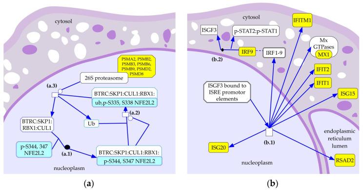https://cdn.ncbi.nlm.nih.gov/pmc/blobs/6a6d/10536033/772a273ebc6b/pathogens-12-01159-g002.jpg