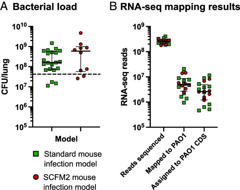 https://cdn.ncbi.nlm.nih.gov/pmc/blobs/6a71/11331117/813a8caa93f0/pnas.2406234121fig02.jpg