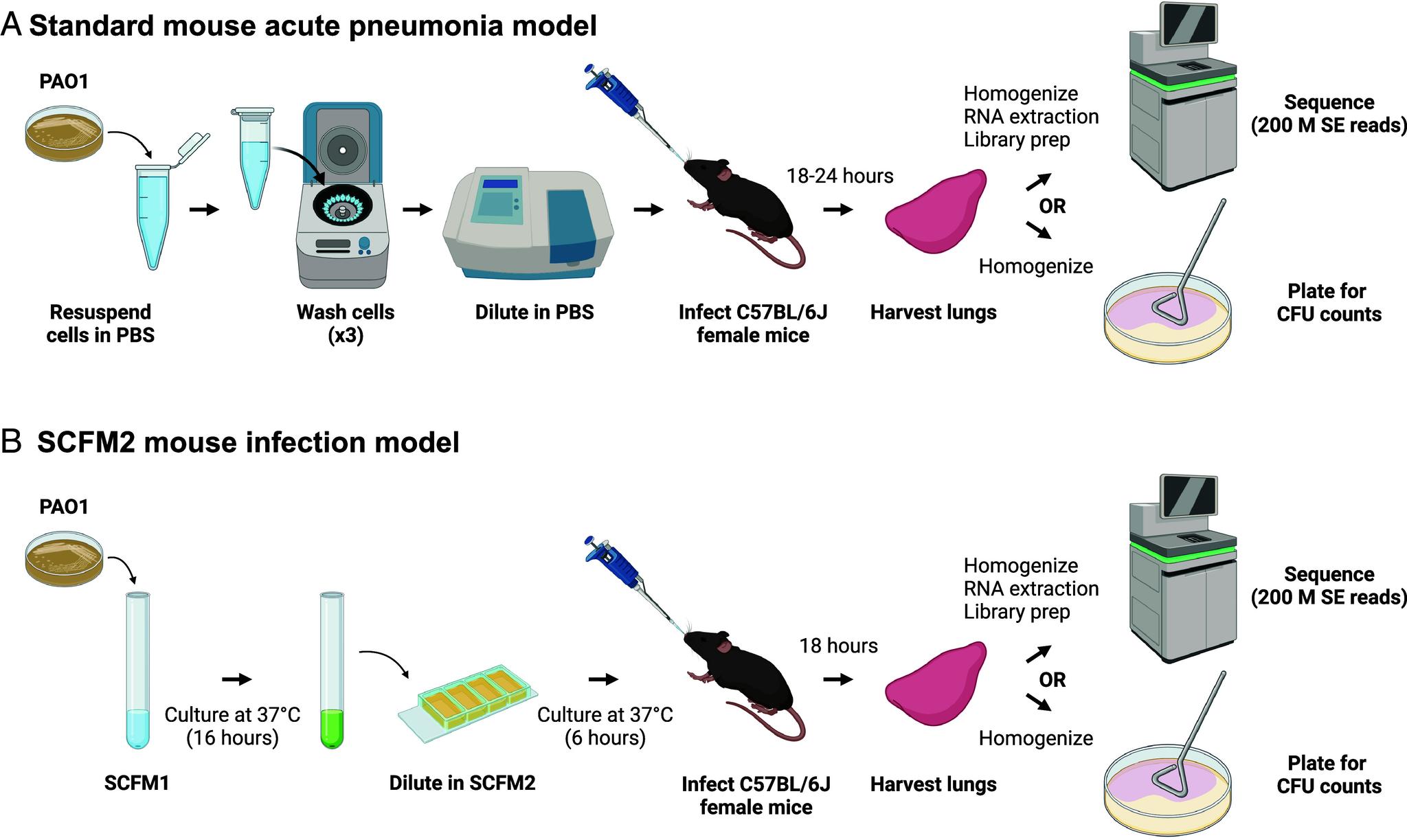 https://cdn.ncbi.nlm.nih.gov/pmc/blobs/6a71/11331117/ef7e960f8562/pnas.2406234121fig01.jpg