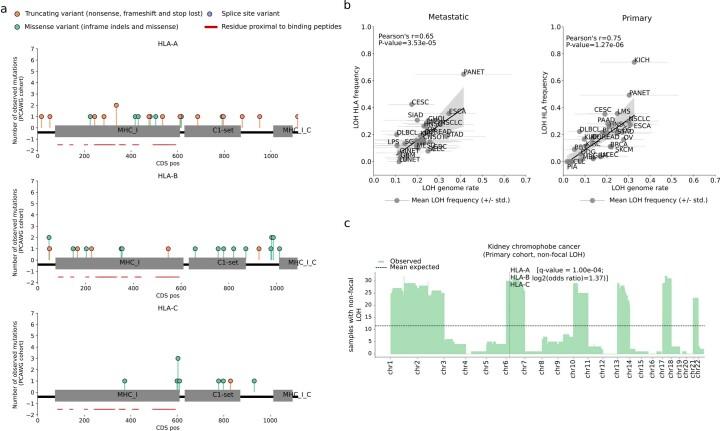 https://cdn.ncbi.nlm.nih.gov/pmc/blobs/6a72/10181939/406ec06c9ad2/41588_2023_1367_Fig11_ESM.jpg