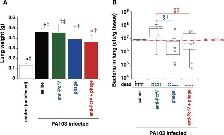 https://cdn.ncbi.nlm.nih.gov/pmc/blobs/6a9b/11619312/e62ab11926a0/spectrum.01781-24.f005.jpg