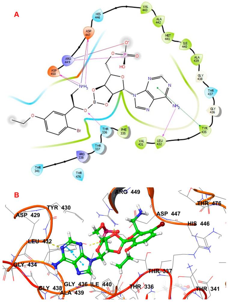 https://cdn.ncbi.nlm.nih.gov/pmc/blobs/6a9d/11201714/bfedf76374bd/biomolecules-14-00711-g003.jpg
