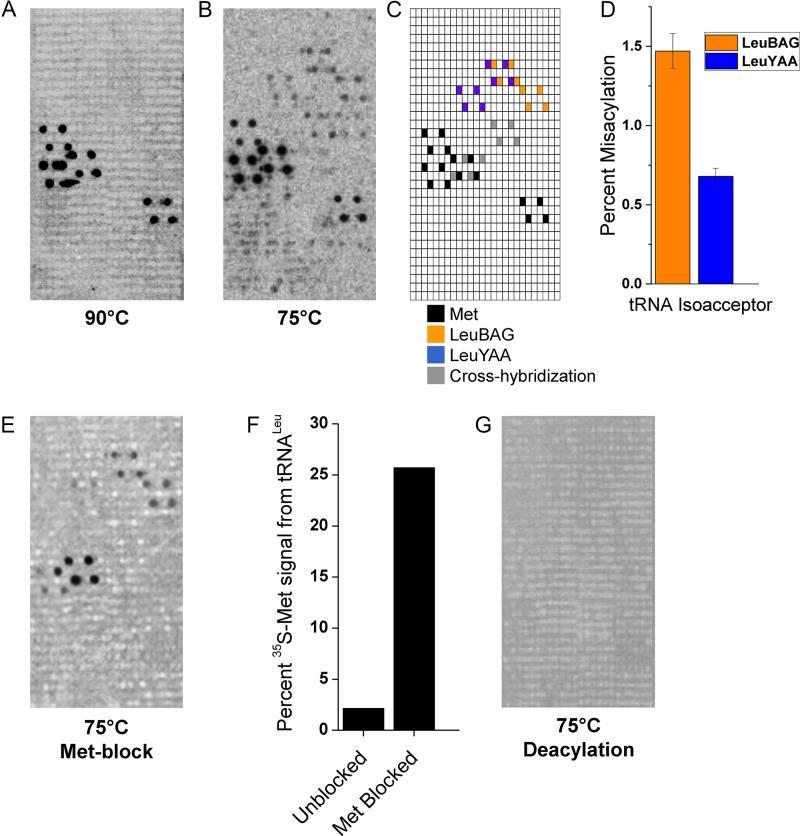 https://cdn.ncbi.nlm.nih.gov/pmc/blobs/6aa0/4705672/b1cd30376fde/gkv1379fig1.jpg