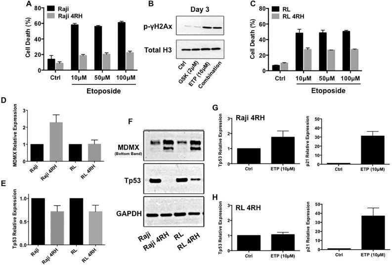 https://cdn.ncbi.nlm.nih.gov/pmc/blobs/6aa9/4751913/530fd8cd6135/oncoscience-03-021-g001.jpg