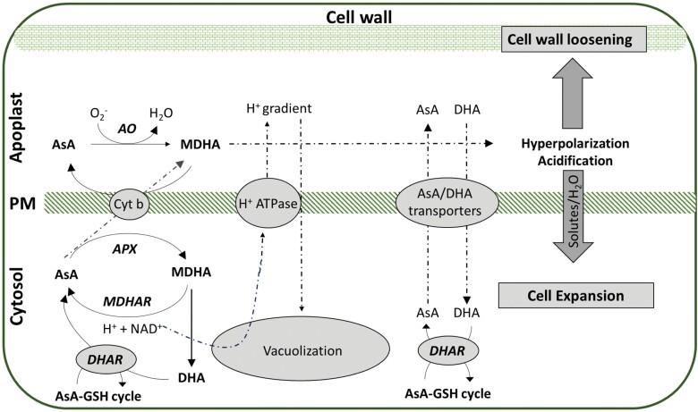 https://cdn.ncbi.nlm.nih.gov/pmc/blobs/6ac6/11794944/683aaa88d22d/erae058_fig2.jpg