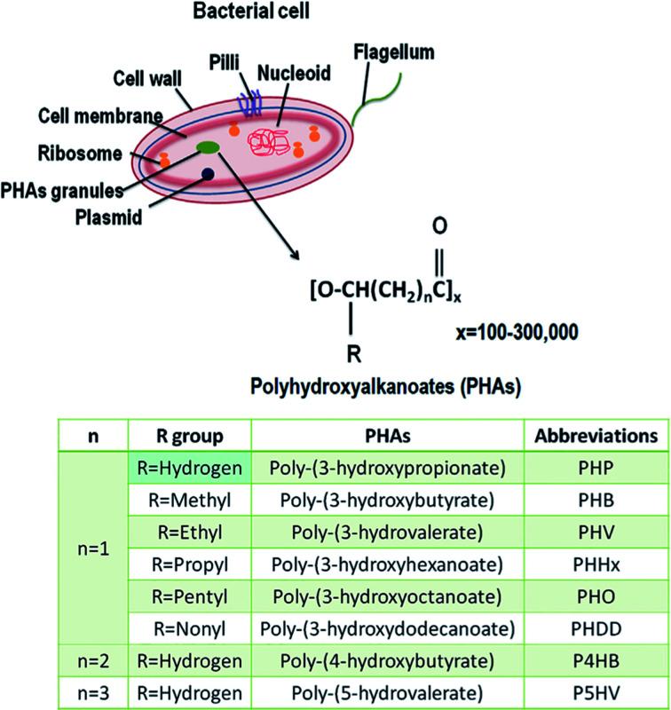 https://cdn.ncbi.nlm.nih.gov/pmc/blobs/6ad4/9033233/605b97f50397/d1ra02390j-f36.jpg