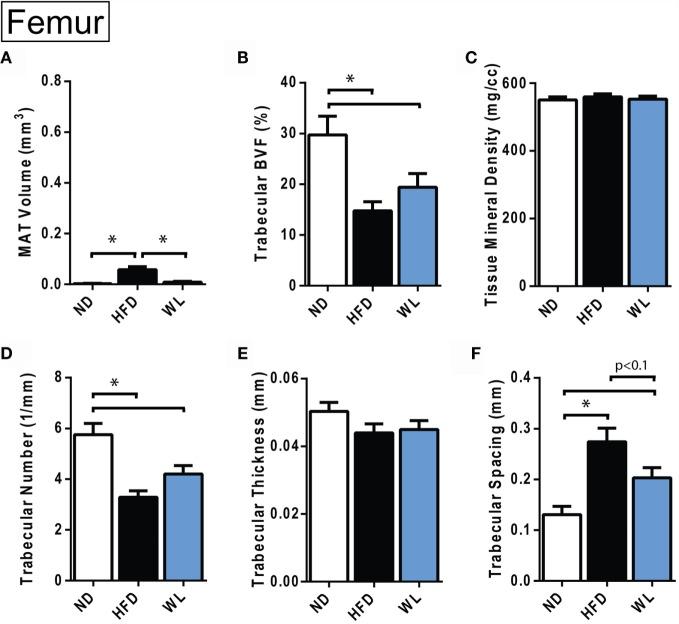 https://cdn.ncbi.nlm.nih.gov/pmc/blobs/6ae6/4961699/d4876c90a4d8/fendo-07-00102-g004.jpg
