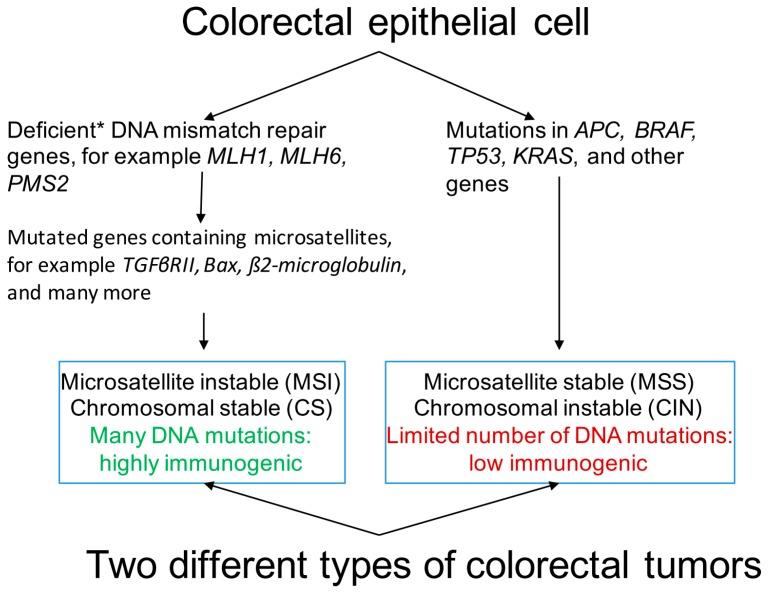https://cdn.ncbi.nlm.nih.gov/pmc/blobs/6ae9/4964406/e65673bd0d9f/ijms-17-01030-g001.jpg
