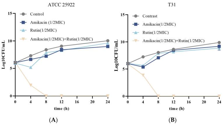 https://cdn.ncbi.nlm.nih.gov/pmc/blobs/6b01/11727727/e5f1784c7a9b/ijms-25-13684-g001.jpg