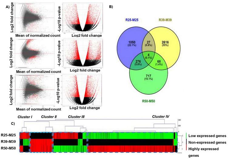 https://cdn.ncbi.nlm.nih.gov/pmc/blobs/6b07/7890066/64b55199cd90/41598_2021_83507_Fig4_HTML.jpg