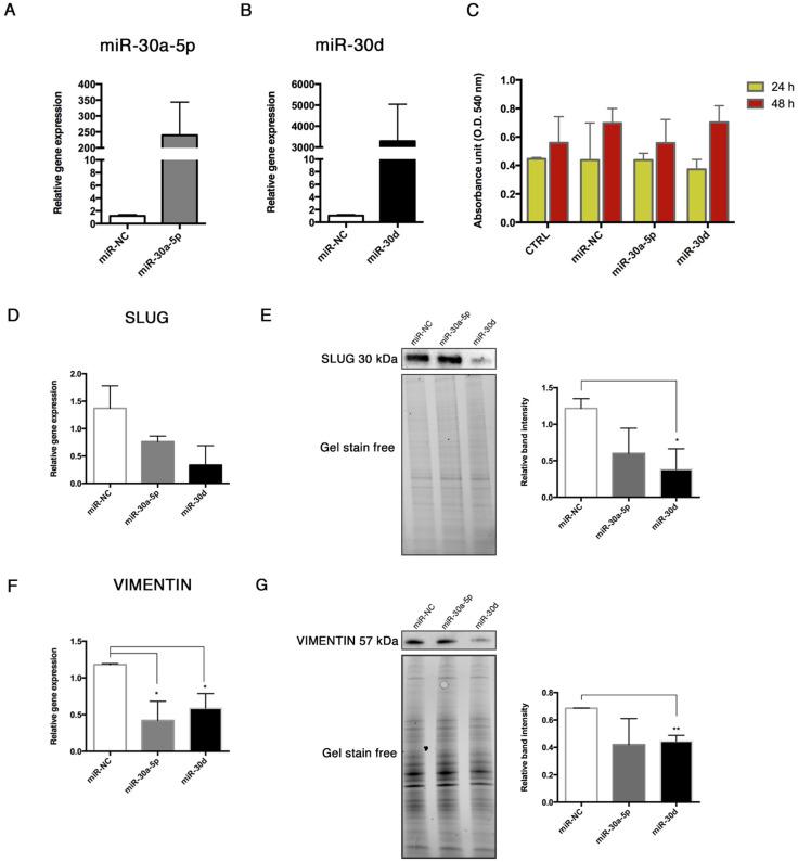 https://cdn.ncbi.nlm.nih.gov/pmc/blobs/6b26/7915105/380be1706be9/biomolecules-11-00226-g008.jpg