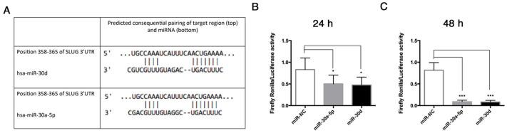 https://cdn.ncbi.nlm.nih.gov/pmc/blobs/6b26/7915105/61a5f0b7857f/biomolecules-11-00226-g009.jpg