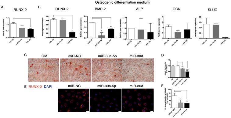 https://cdn.ncbi.nlm.nih.gov/pmc/blobs/6b26/7915105/6558cdcee934/biomolecules-11-00226-g010.jpg