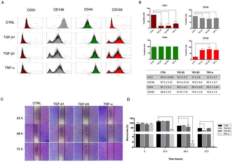https://cdn.ncbi.nlm.nih.gov/pmc/blobs/6b26/7915105/840a7451bff5/biomolecules-11-00226-g004.jpg