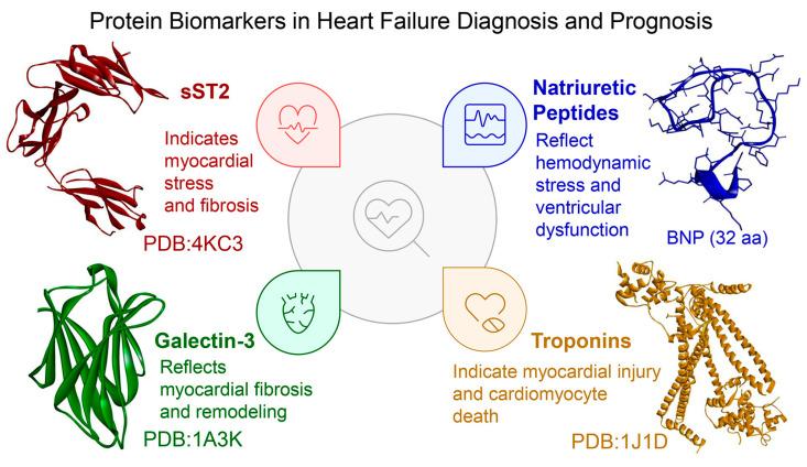 https://cdn.ncbi.nlm.nih.gov/pmc/blobs/6b28/12384593/d764599cef6a/biomolecules-15-01189-g001.jpg