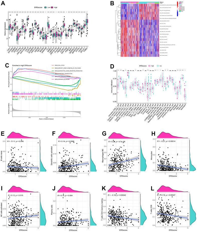 https://cdn.ncbi.nlm.nih.gov/pmc/blobs/6b62/10599750/56906f9430c2/aging-15-205094-g006.jpg