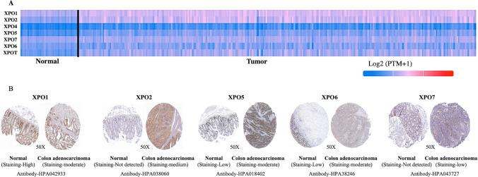 https://cdn.ncbi.nlm.nih.gov/pmc/blobs/6b65/11711428/23b1d0a4e335/12672_2025_1748_Fig1_HTML.jpg