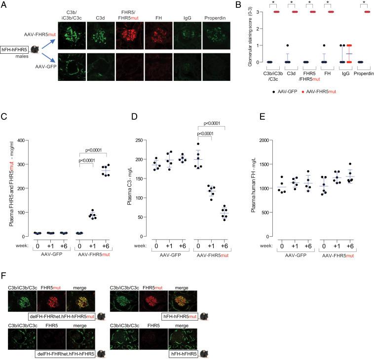 https://cdn.ncbi.nlm.nih.gov/pmc/blobs/6bab/8020653/28fbc556a90a/pnas.2022722118fig03.jpg