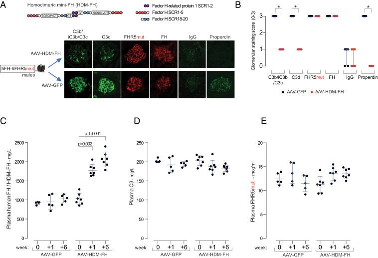 https://cdn.ncbi.nlm.nih.gov/pmc/blobs/6bab/8020653/9f5e2ff9ad8c/pnas.2022722118fig04.jpg
