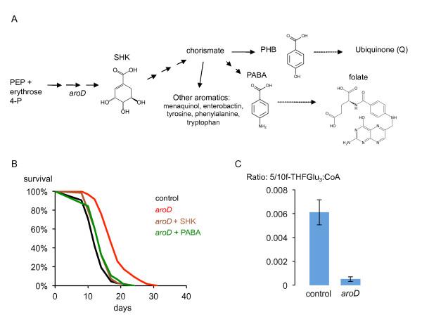 https://cdn.ncbi.nlm.nih.gov/pmc/blobs/6bd7/3583181/15acaaa4a82f/1741-7007-10-67-2.jpg