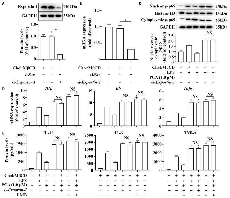 https://cdn.ncbi.nlm.nih.gov/pmc/blobs/6be0/11944442/56a8c9e35a4f/nutrients-17-01090-g006.jpg