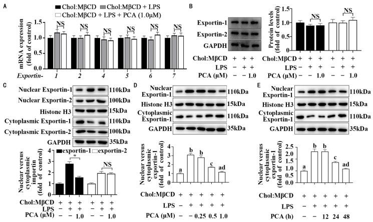 https://cdn.ncbi.nlm.nih.gov/pmc/blobs/6be0/11944442/5e26974c4a6c/nutrients-17-01090-g005.jpg