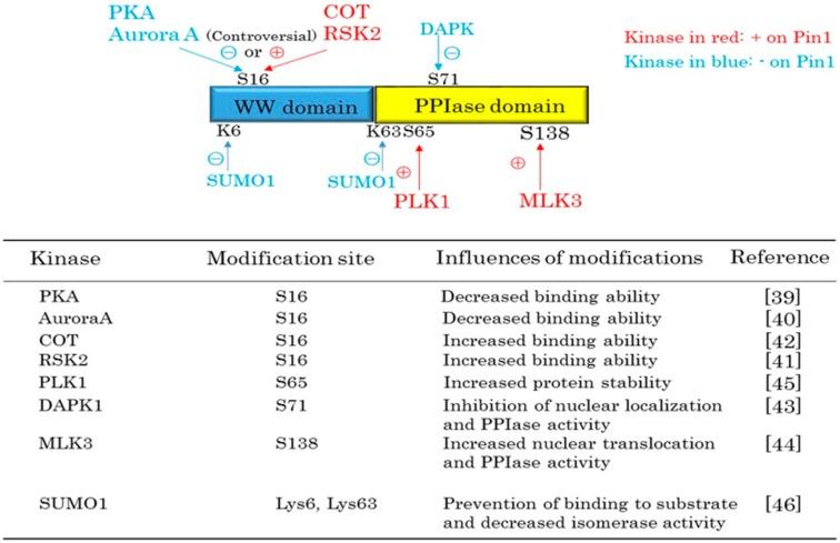 https://cdn.ncbi.nlm.nih.gov/pmc/blobs/6be7/5037772/47b2f3d6b8c6/ijms-17-01495-g002.jpg