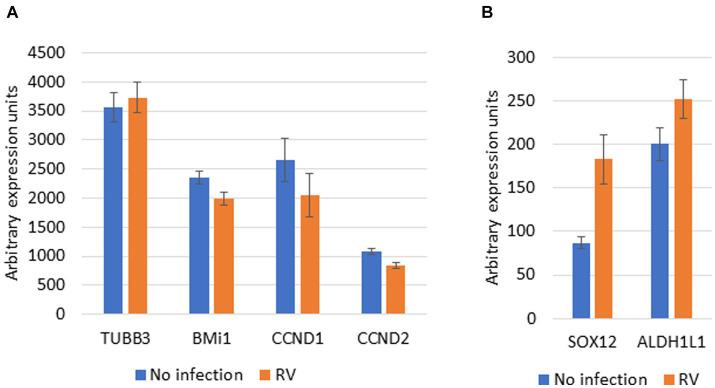 https://cdn.ncbi.nlm.nih.gov/pmc/blobs/6bee/10797083/1b69660b4771/fmicb-14-1321531-g002.jpg