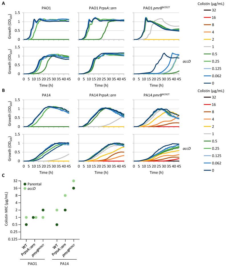 https://cdn.ncbi.nlm.nih.gov/pmc/blobs/6bee/12189927/cbd1b01776b2/antibiotics-14-00601-g004.jpg