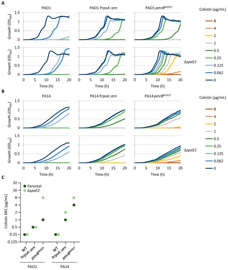 https://cdn.ncbi.nlm.nih.gov/pmc/blobs/6bee/12189927/f0ee5cb19cee/antibiotics-14-00601-g002.jpg