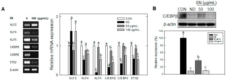https://cdn.ncbi.nlm.nih.gov/pmc/blobs/6bf1/6331911/12060aceefcd/molecules-20-19796-g004.jpg