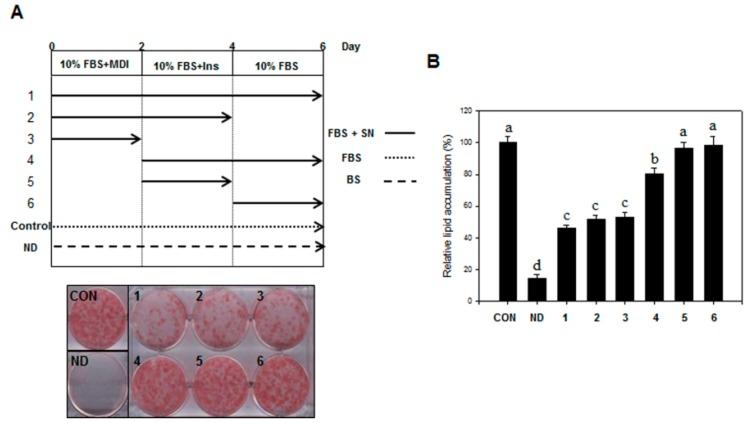 https://cdn.ncbi.nlm.nih.gov/pmc/blobs/6bf1/6331911/e3ddfe6fc79b/molecules-20-19796-g003.jpg