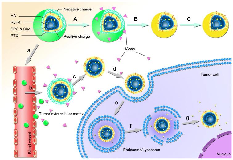 https://cdn.ncbi.nlm.nih.gov/pmc/blobs/6bf5/7321085/75985c48cbbf/molecules-25-02649-g014.jpg