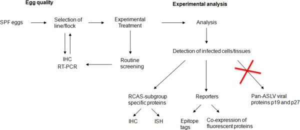 https://cdn.ncbi.nlm.nih.gov/pmc/blobs/6bf8/3541172/8338c383f28f/1749-8104-7-22-2.jpg