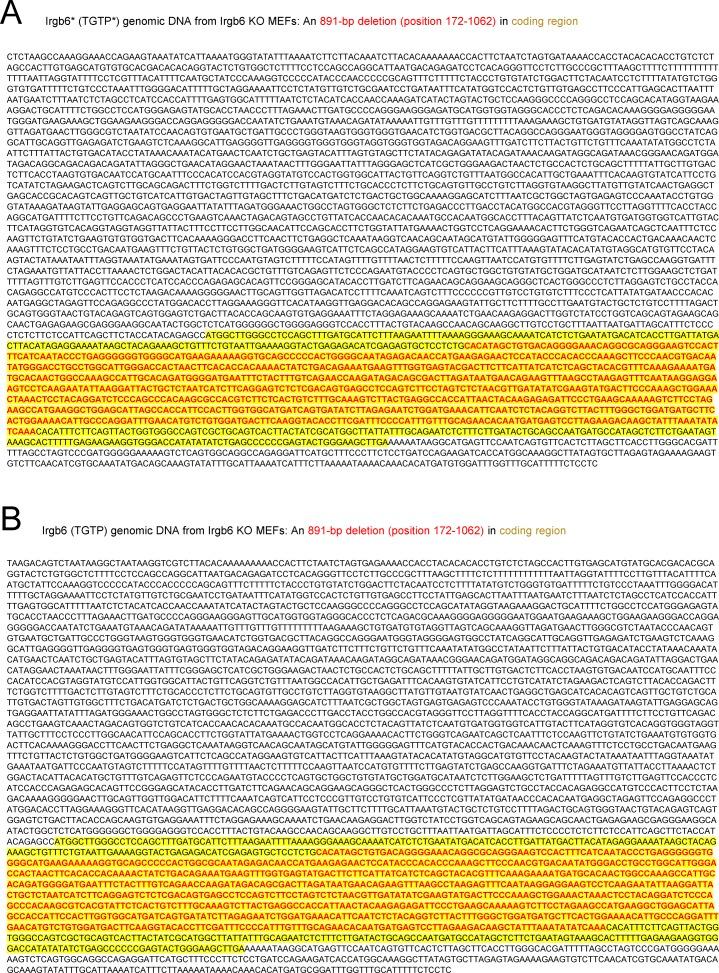https://cdn.ncbi.nlm.nih.gov/pmc/blobs/6bfb/6925386/bdcec708d941/LSA-2019-00549_FigS1.jpg