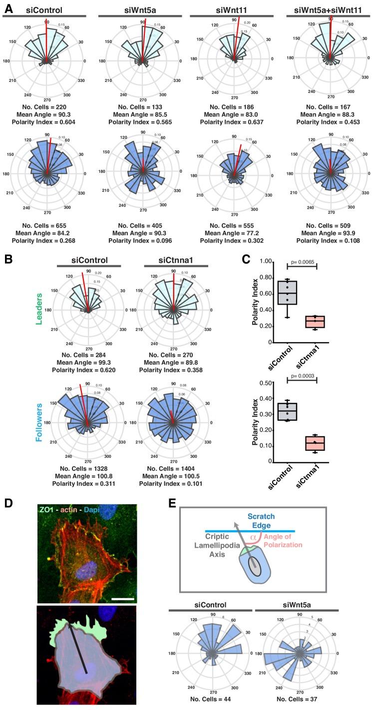 https://cdn.ncbi.nlm.nih.gov/pmc/blobs/6bfd/6684320/2ec1ed2da66e/elife-45853-fig1-figsupp1.jpg