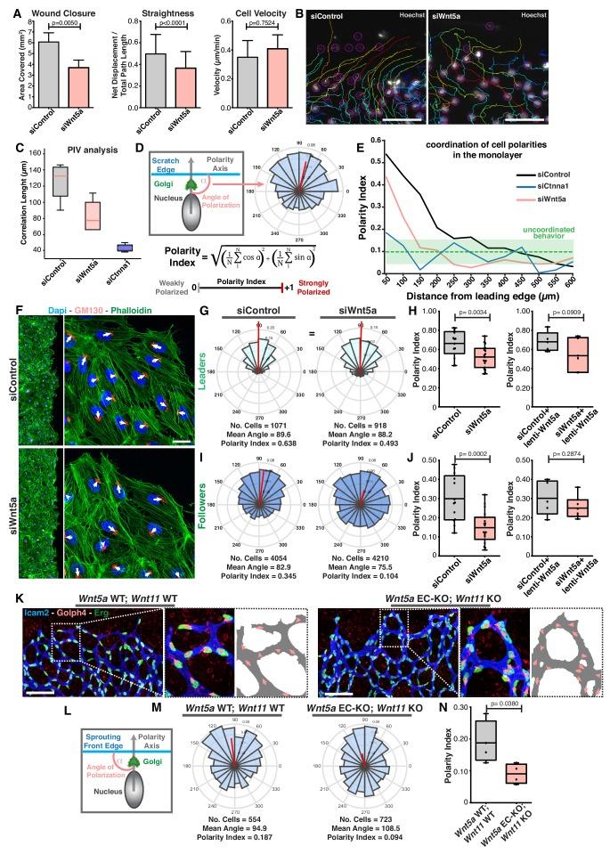 https://cdn.ncbi.nlm.nih.gov/pmc/blobs/6bfd/6684320/314c3cf06dd3/elife-45853-fig1.jpg