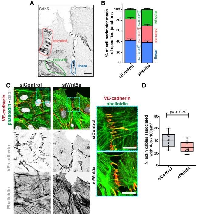 https://cdn.ncbi.nlm.nih.gov/pmc/blobs/6bfd/6684320/7e62c774f50d/elife-45853-fig2.jpg