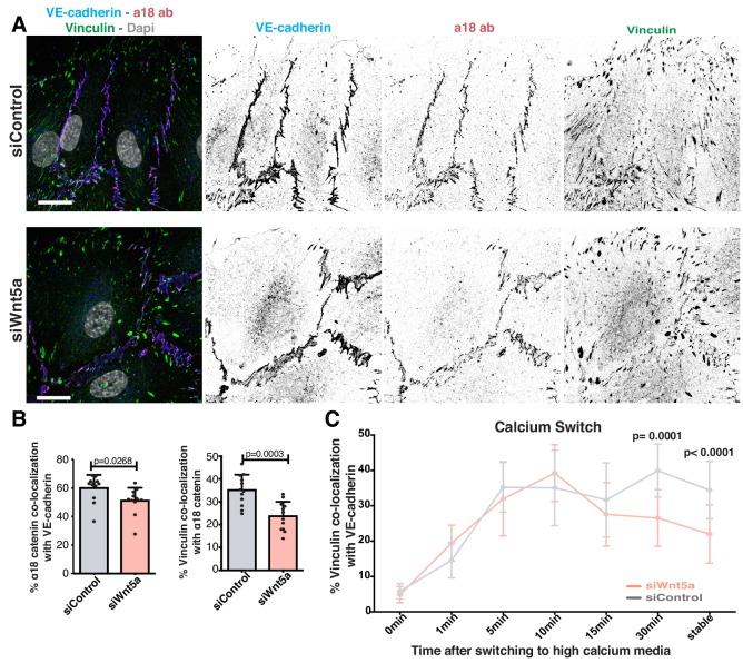 https://cdn.ncbi.nlm.nih.gov/pmc/blobs/6bfd/6684320/b0c05b49280a/elife-45853-fig5.jpg