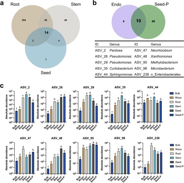 https://cdn.ncbi.nlm.nih.gov/pmc/blobs/6bfe/9733015/500ae07a3e32/40168_2022_1422_Fig5_HTML.jpg